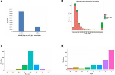 Analysis of circRNA and miRNA expression profiles in IGF3-induced ovarian maturation in spotted scat (Scatophagus argus)